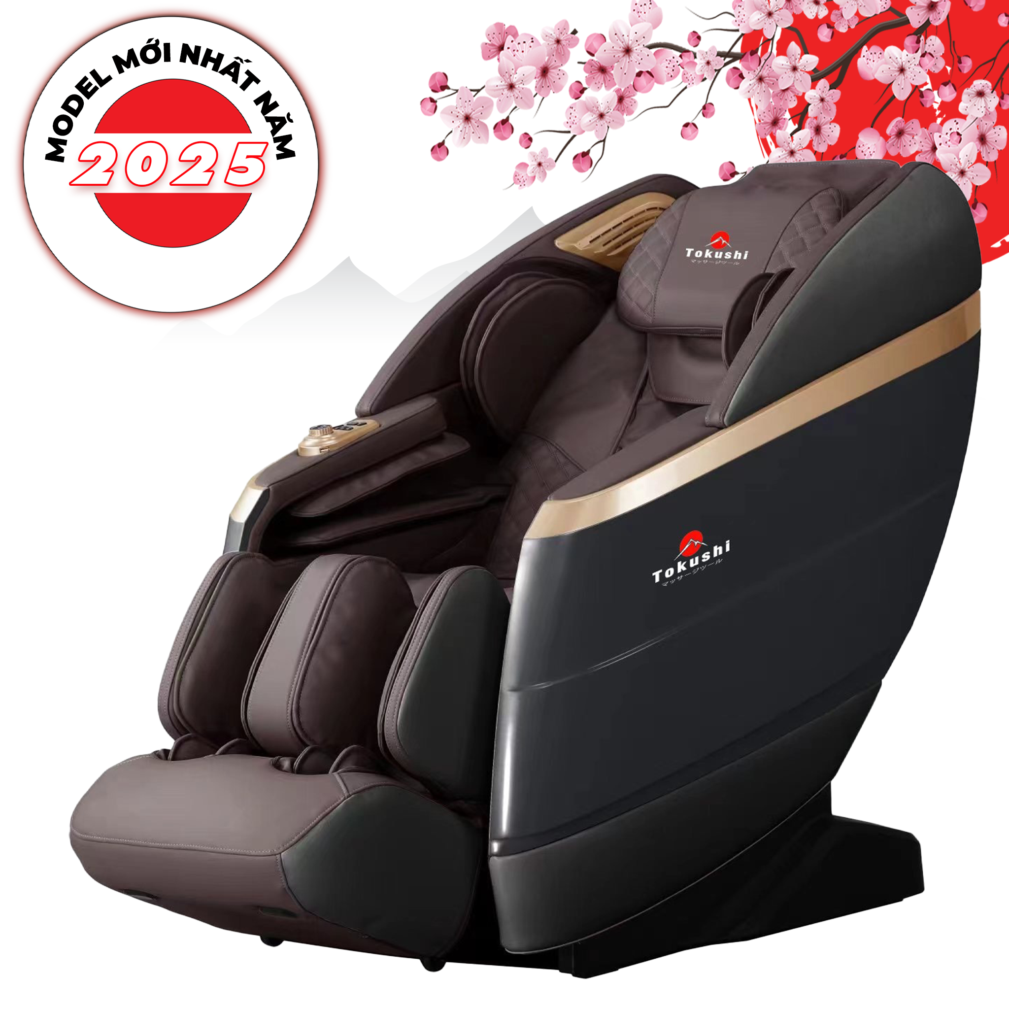 GHẾ MASSAGE CAO CẤP TOKUSHI TK - A66 LUXURY